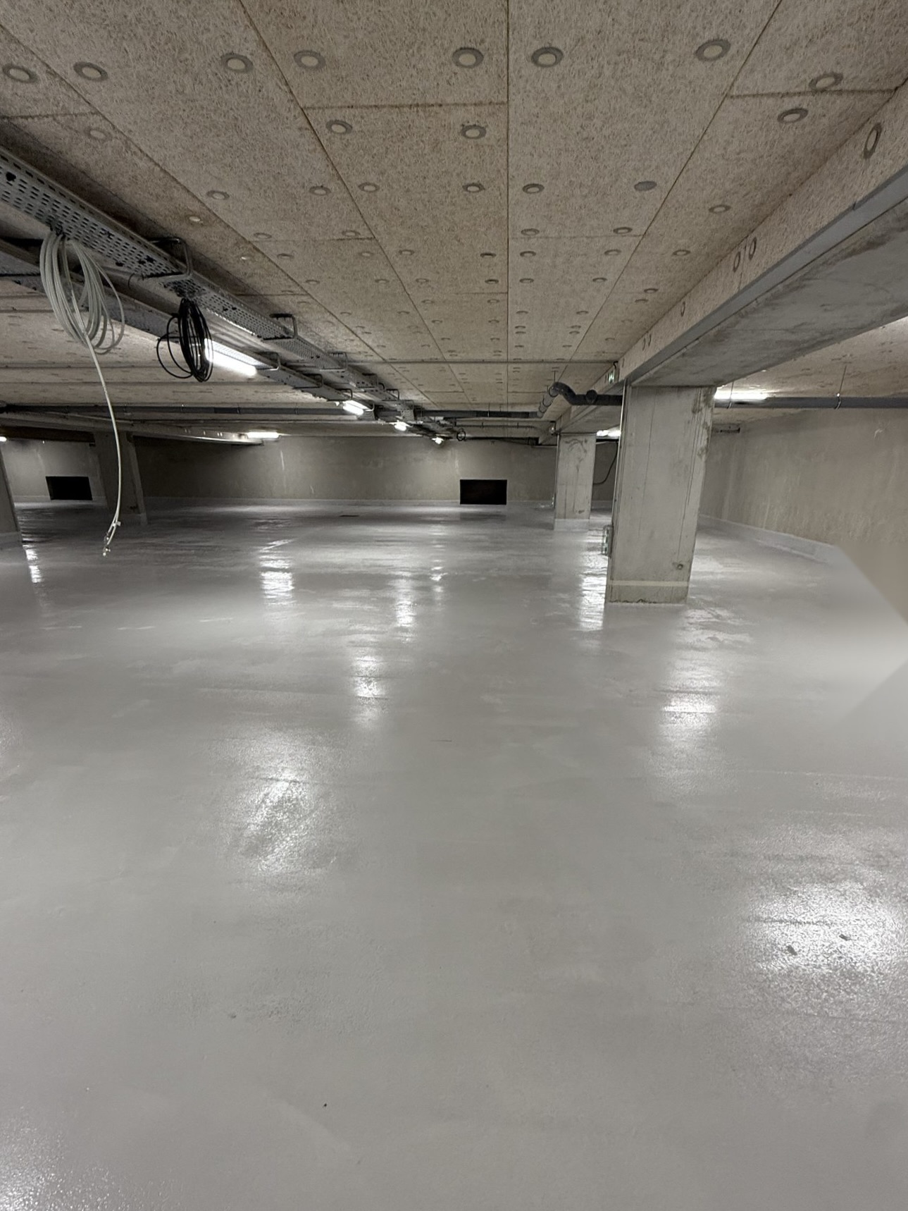 Local professionnel — rénovation